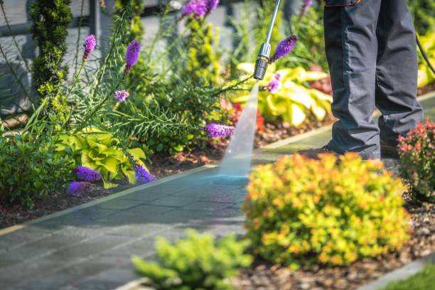 Best Winterizing Services  in Woodall, OK